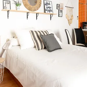 Estudio San Pedro-corredera Córdoba
