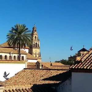 La Mirada De La Juderia Appartement